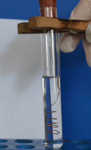 מוט נחושת בתמיסה של AgNO3